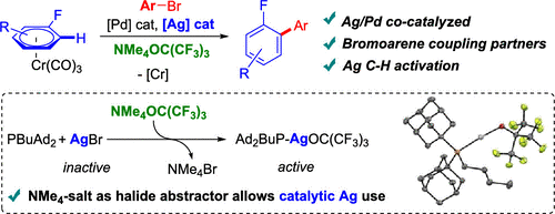 Cover image for Ag/Pd Cocatalyzed Direct Arylation of Fluoroarene Derivatives with Aryl Bromides